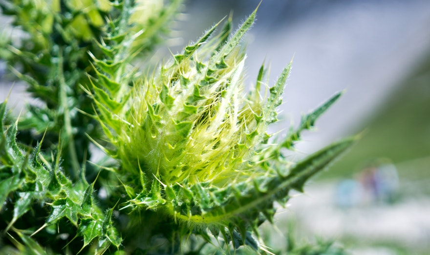 Referenzfoto von Maximilian Auer